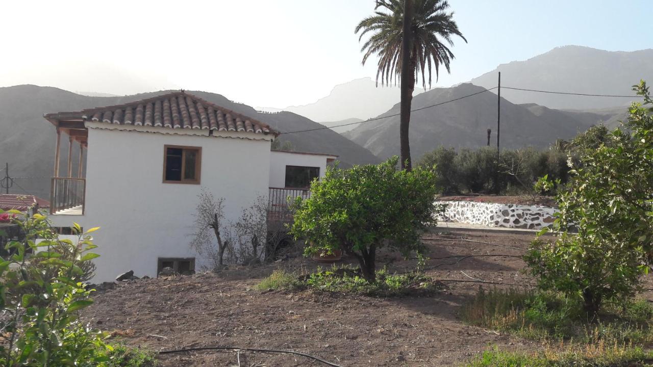 El Regalo De Mis Abuelos Santa Lucia De Tirajana Luaran gambar